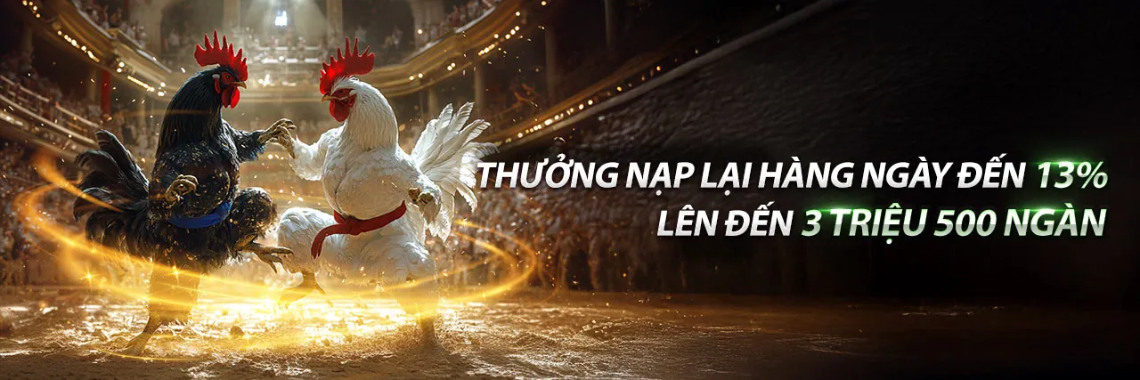 Đấu trường đá gà trực tuyến mcw888 sôi động và hấp dẫn
